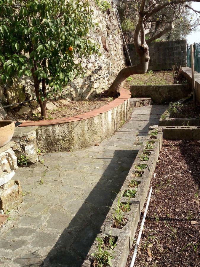 Apartament Casa Picasso Genua Zewnętrze zdjęcie