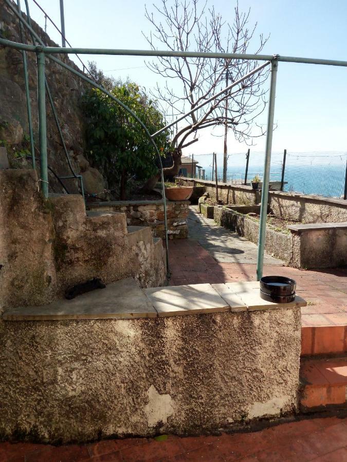 Apartament Casa Picasso Genua Zewnętrze zdjęcie
